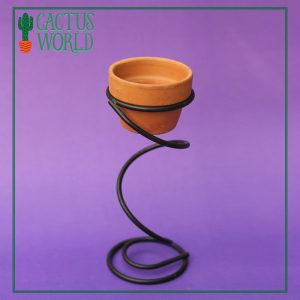 Terracotta Pot with Iron Stand