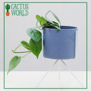 Pot with Tripod Stand
