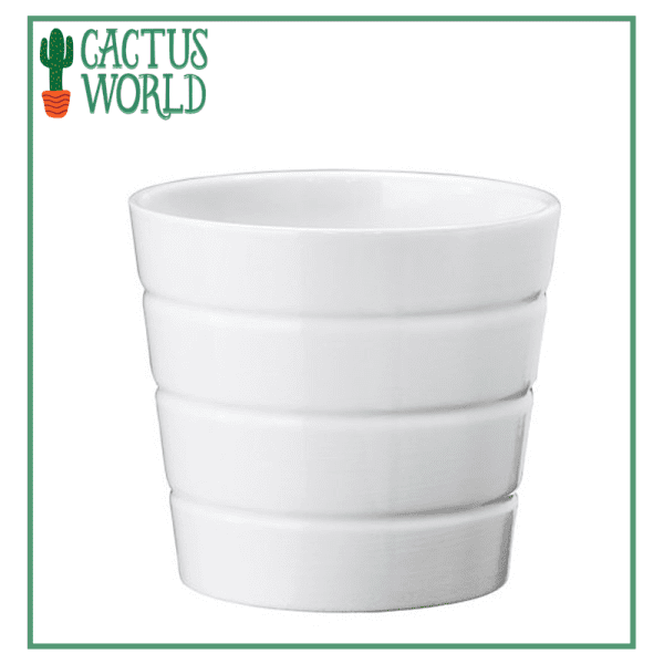 IKEA White Planter Cactus.pk